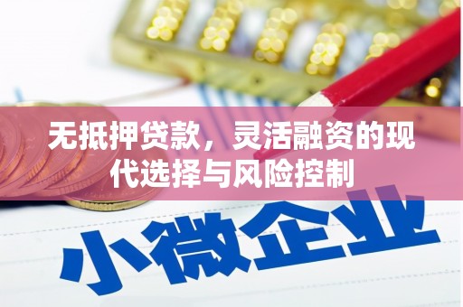 永泰无抵押贷款，灵活融资的现代选择与风险控制
