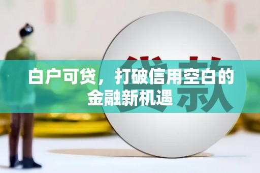 永泰白户可贷，打破信用空白的金融新机遇