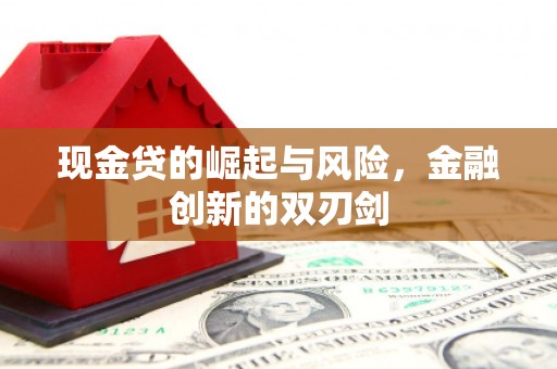 永泰现金贷的崛起与风险，金融创新的双刃剑