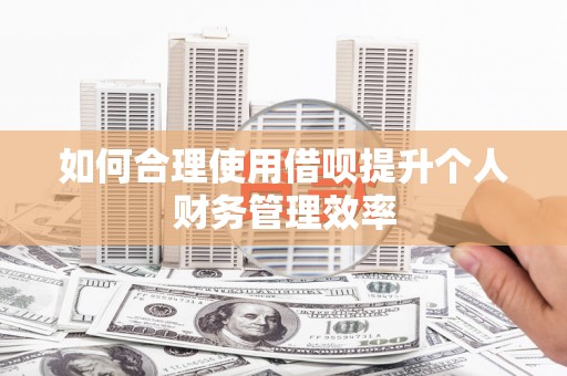 永泰如何合理使用借呗提升个人财务管理效率