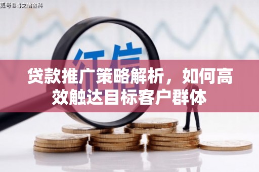 永泰贷款推广策略解析，如何高效触达目标客户群体