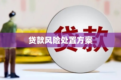 永泰贷款风险处置方案