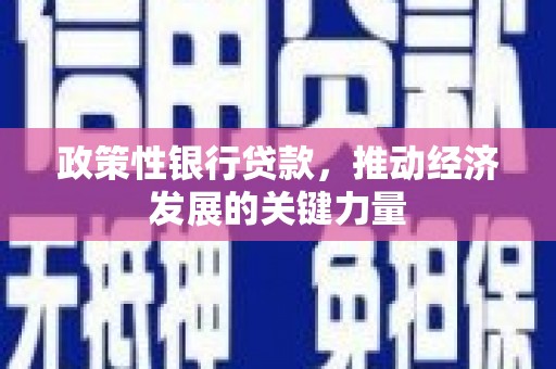 永泰政策性银行贷款，推动经济发展的关键力量