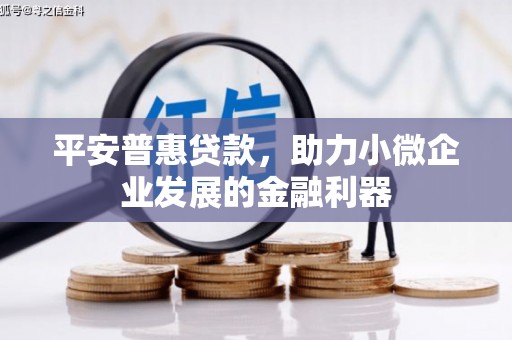 永泰平安普惠贷款，助力小微企业发展的金融利器
