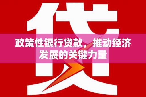 永泰政策性银行贷款，推动经济发展的关键力量