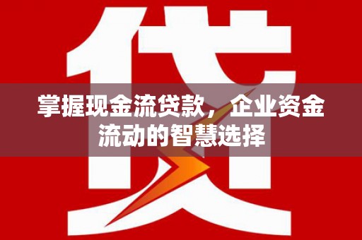 永泰掌握现金流贷款，企业资金流动的智慧选择