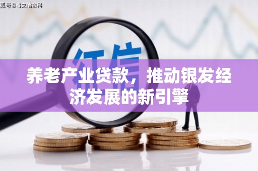 永泰养老产业贷款，推动银发经济发展的新引擎