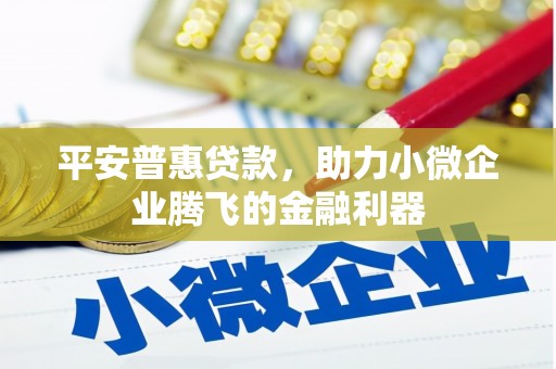 永泰平安普惠贷款，助力小微企业腾飞的金融利器