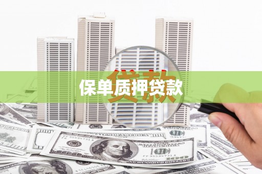 永泰保单质押贷款