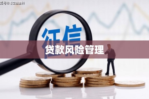 永泰贷款风险管理