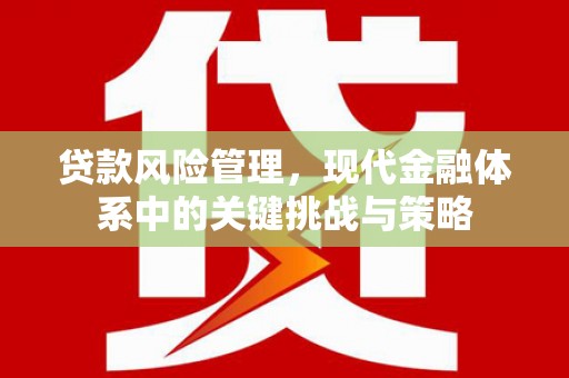 永泰贷款风险管理，现代金融体系中的关键挑战与策略