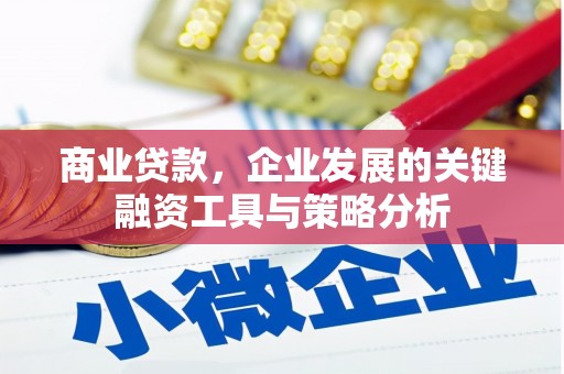 永泰商业贷款，企业发展的关键融资工具与策略分析
