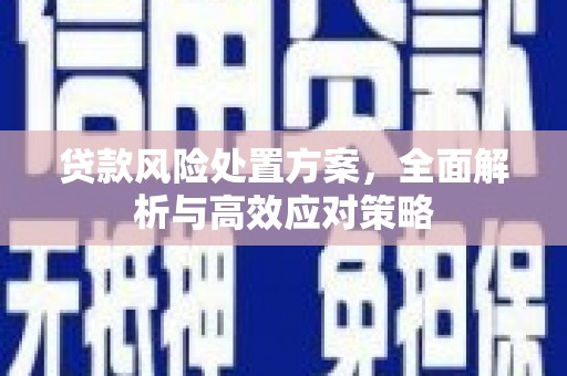 永泰贷款风险处置方案，全面解析与高效应对策略