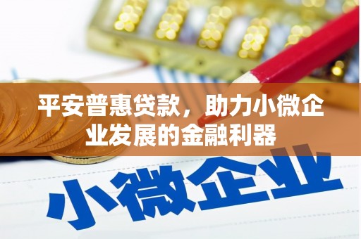 永泰平安普惠贷款，助力小微企业发展的金融利器