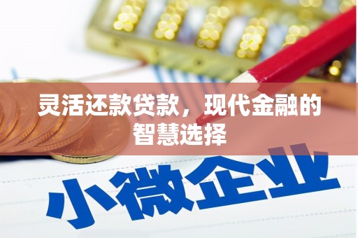 永泰灵活还款贷款，现代金融的智慧选择