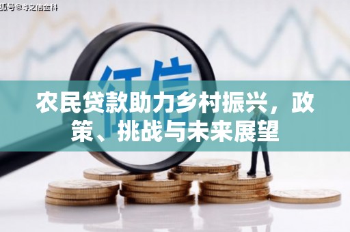 永泰农民贷款助力乡村振兴，政策、挑战与未来展望