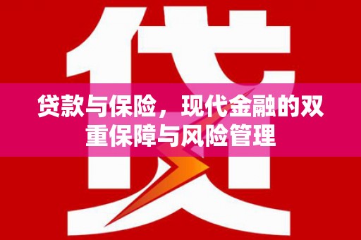 永泰贷款与保险，现代金融的双重保障与风险管理