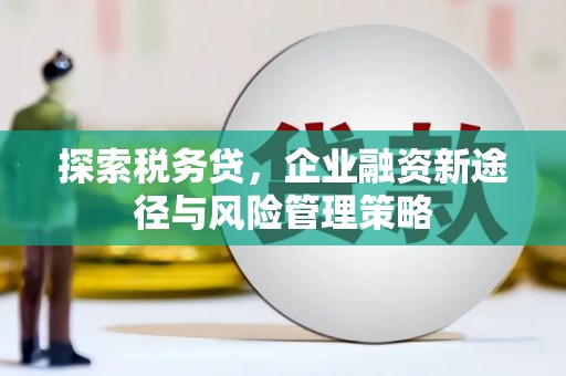 永泰探索税务贷，企业融资新途径与风险管理策略