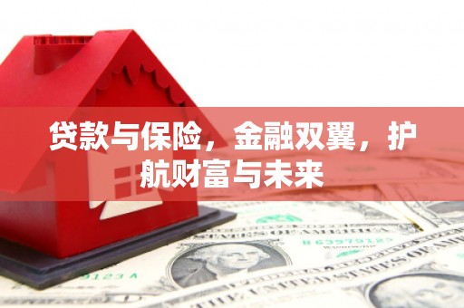 永泰贷款与保险，金融双翼，护航财富与未来