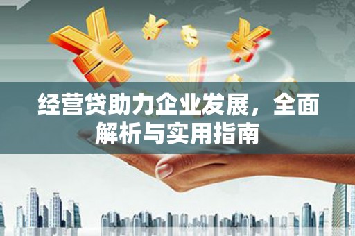 永泰经营贷助力企业发展，全面解析与实用指南