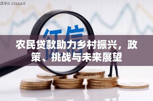 永泰农民贷款助力乡村振兴，政策、挑战与未来展望