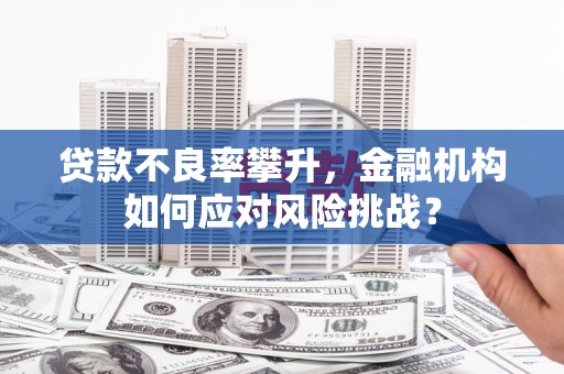永泰贷款不良率攀升，金融机构如何应对风险挑战？