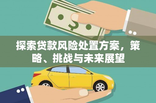 永泰探索贷款风险处置方案，策略、挑战与未来展望