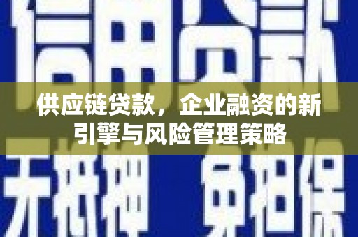 永泰供应链贷款，企业融资的新引擎与风险管理策略