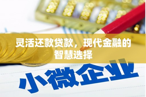 永泰灵活还款贷款，现代金融的智慧选择