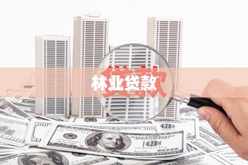 永泰林业贷款