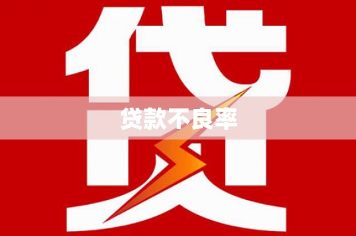 永泰贷款不良率