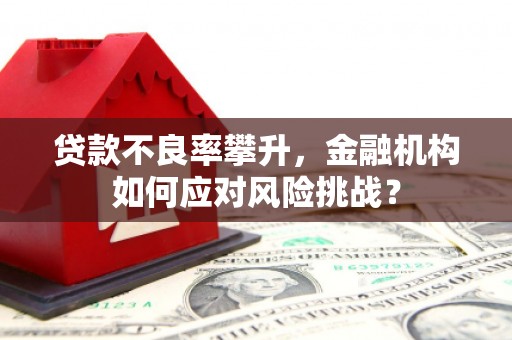 永泰贷款不良率攀升，金融机构如何应对风险挑战？