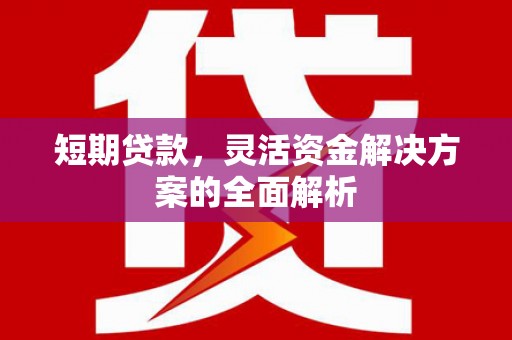 永泰短期贷款，灵活资金解决方案的全面解析