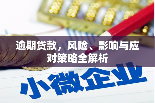 永泰逾期贷款，风险、影响与应对策略全解析