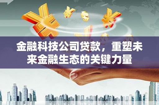 永泰金融科技公司贷款，重塑未来金融生态的关键力量