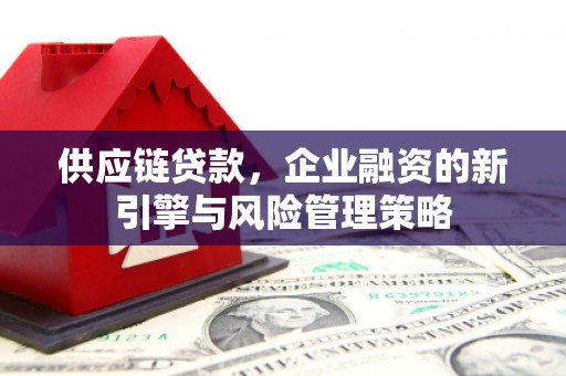 永泰供应链贷款，企业融资的新引擎与风险管理策略