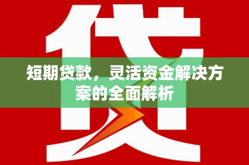 永泰短期贷款，灵活资金解决方案的全面解析