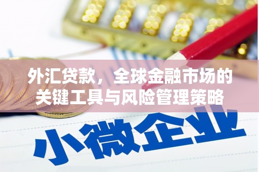 永泰外汇贷款，全球金融市场的关键工具与风险管理策略