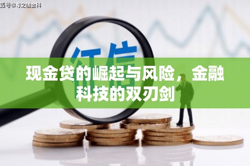 永泰现金贷的崛起与风险，金融科技的双刃剑
