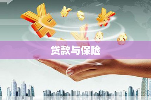 永泰贷款与保险