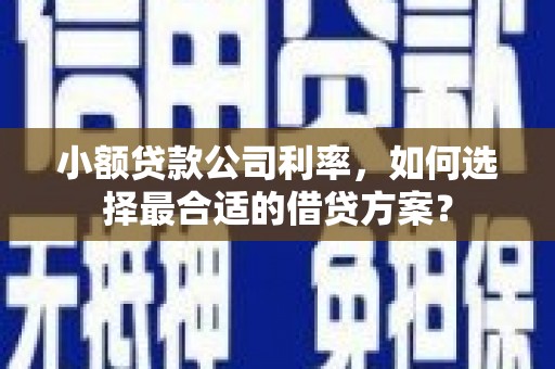 永泰小额贷款公司利率，如何选择最合适的借贷方案？