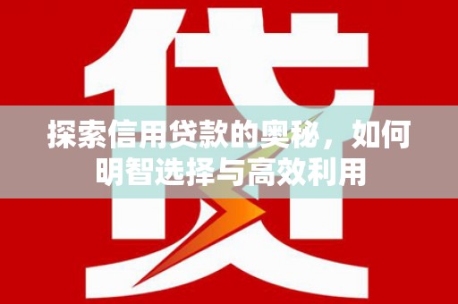 永泰探索信用贷款的奥秘，如何明智选择与高效利用