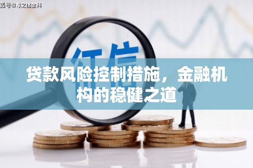 永泰贷款风险控制措施，金融机构的稳健之道