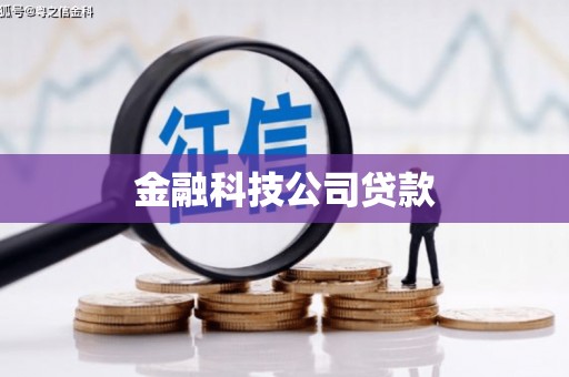 永泰金融科技公司贷款