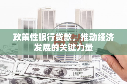 永泰政策性银行贷款，推动经济发展的关键力量