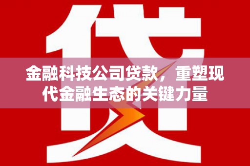 永泰金融科技公司贷款，重塑现代金融生态的关键力量
