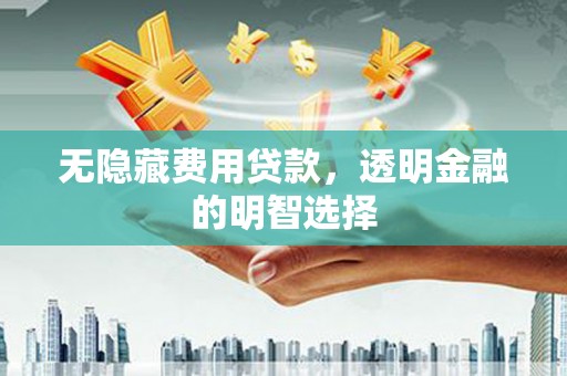 永泰无隐藏费用贷款，透明金融的明智选择