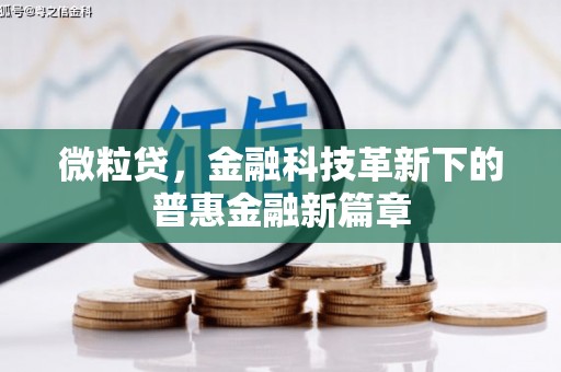 永泰微粒贷，金融科技革新下的普惠金融新篇章