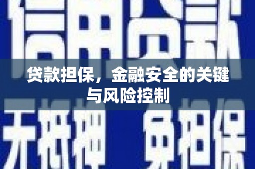 永泰贷款担保，金融安全的关键与风险控制