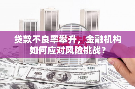永泰贷款不良率攀升，金融机构如何应对风险挑战？